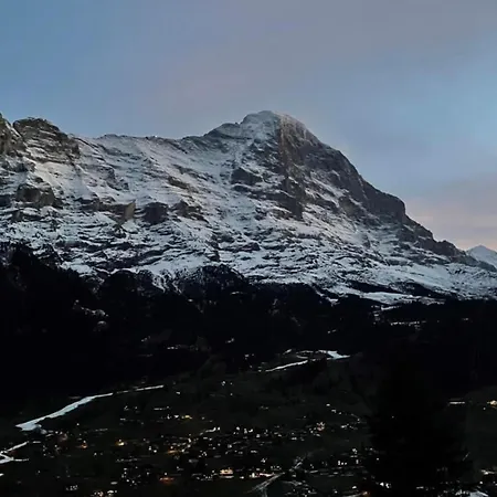 Bachsbort 14 4- Bett Parterre, Freie Sicht Auf Eiger Daire