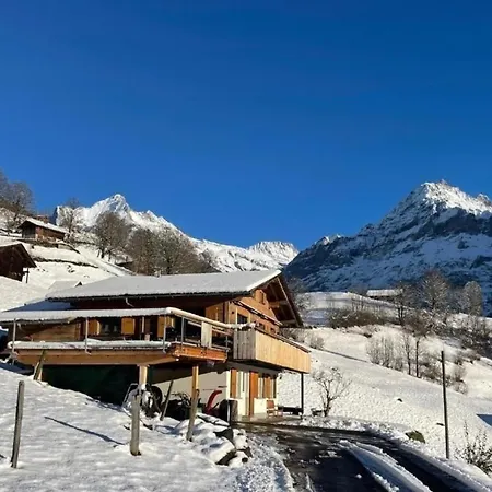 Bachsbort 14 4- Bett Parterre, Freie Sicht Auf Eiger Daire